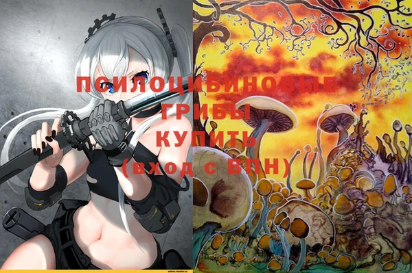 соль ск Арсеньев